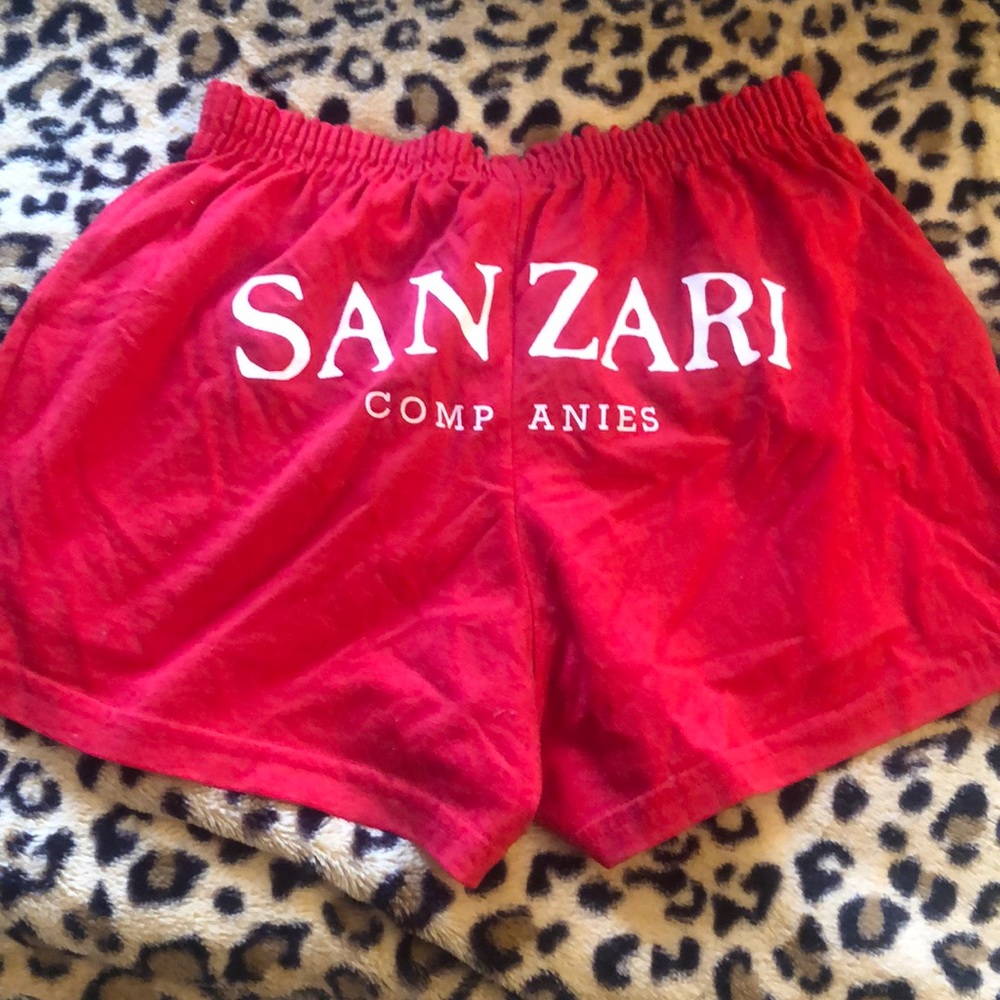 Super cute vintage athletic shorts